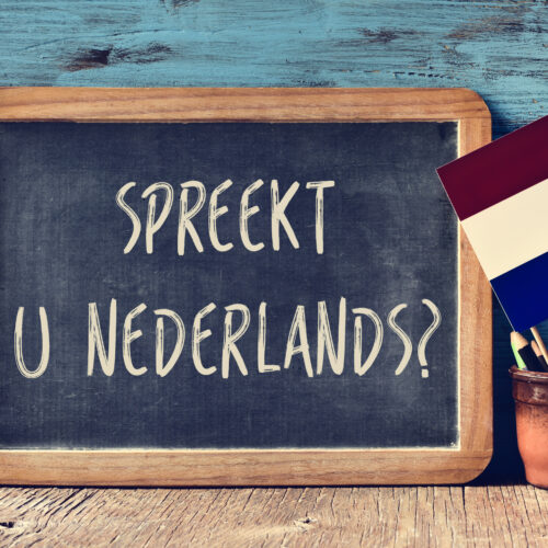 Student Academy Réussir en néerlandais en secondaire : plus simple avec des cours particuliers !